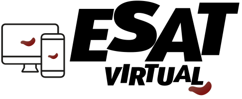 ESATVIRTUAL